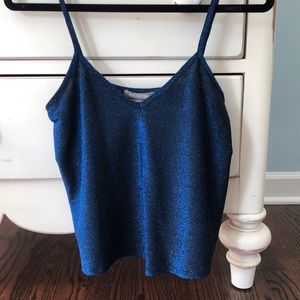 Sparkly navy top